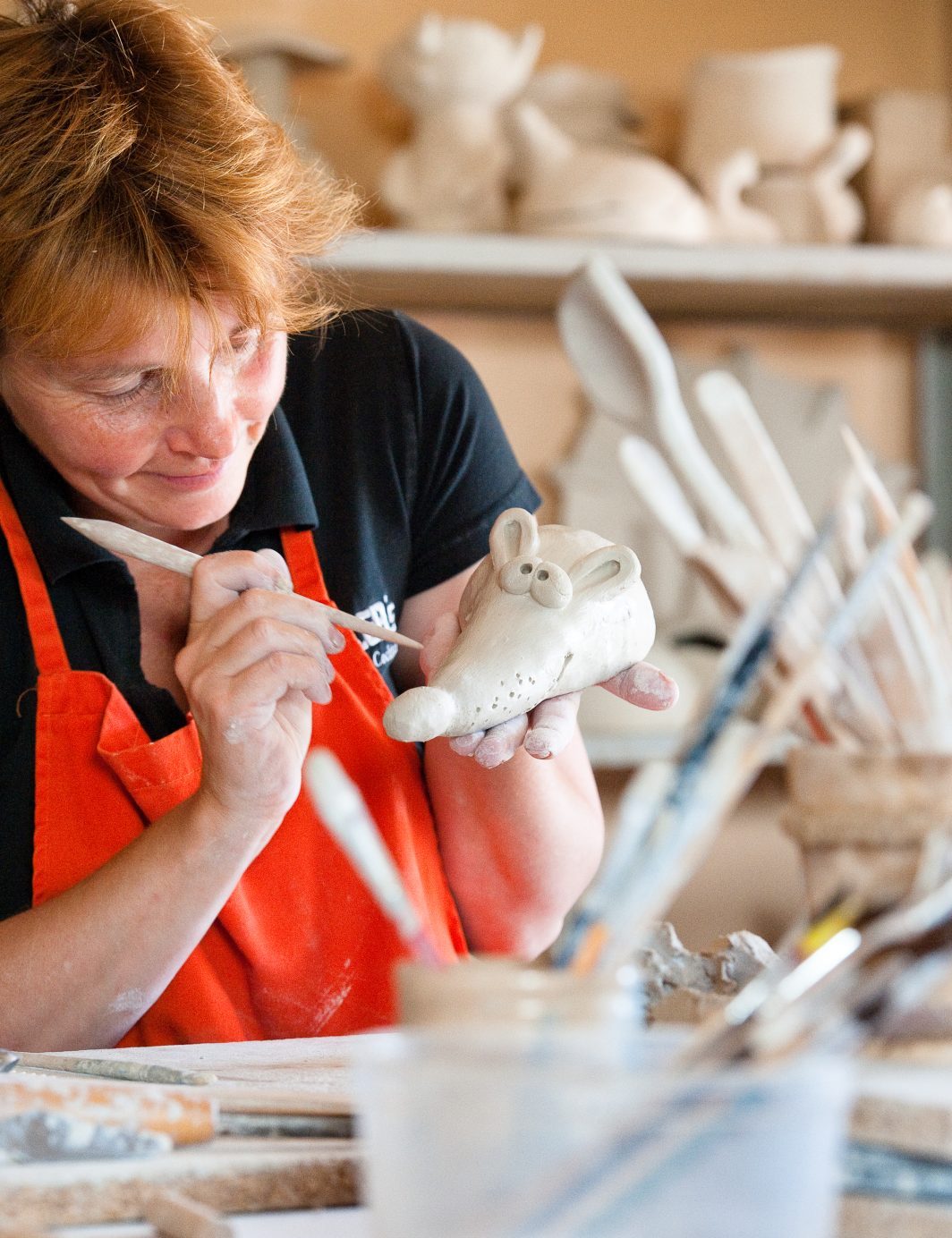 divi-cart-pro-about-1