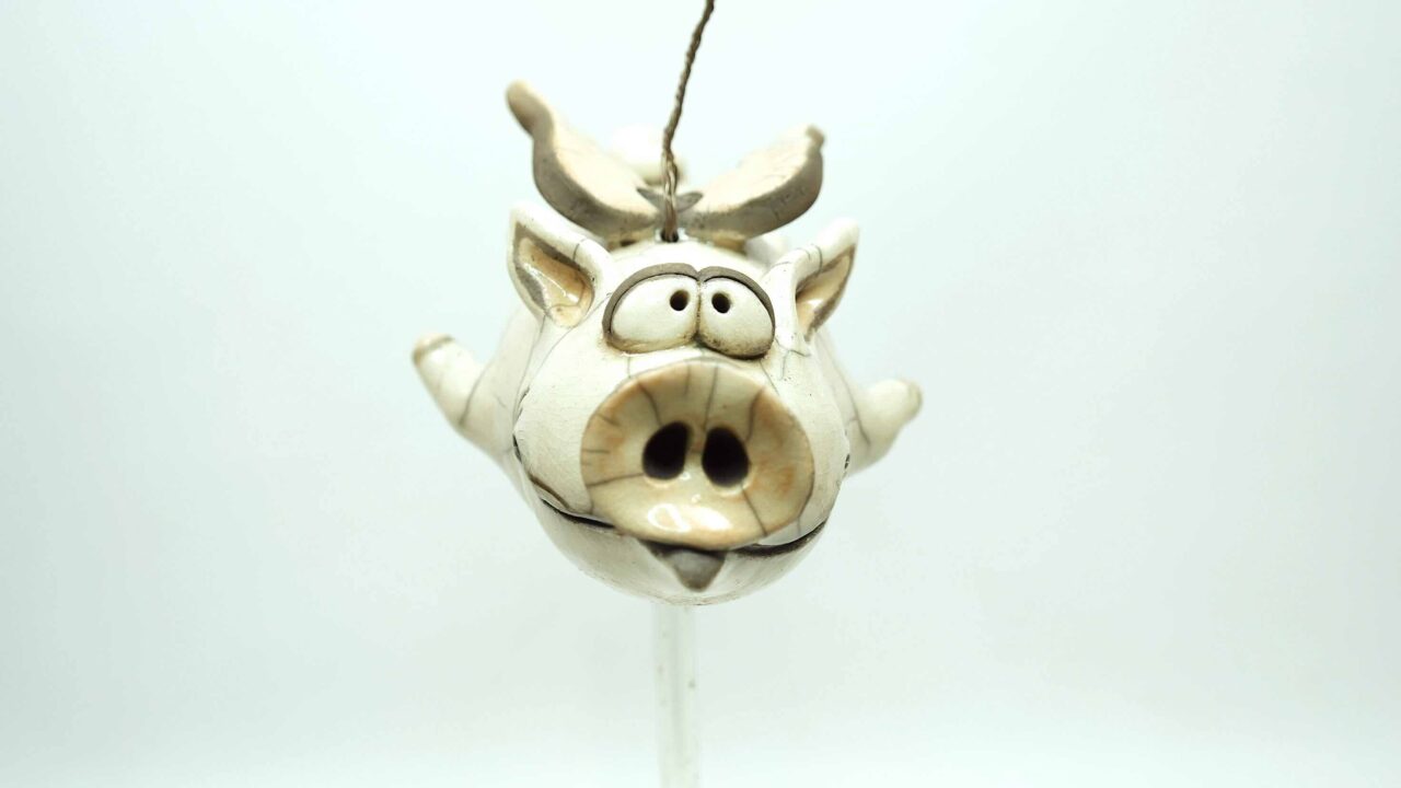 fliegendes Schwein – Bild 8