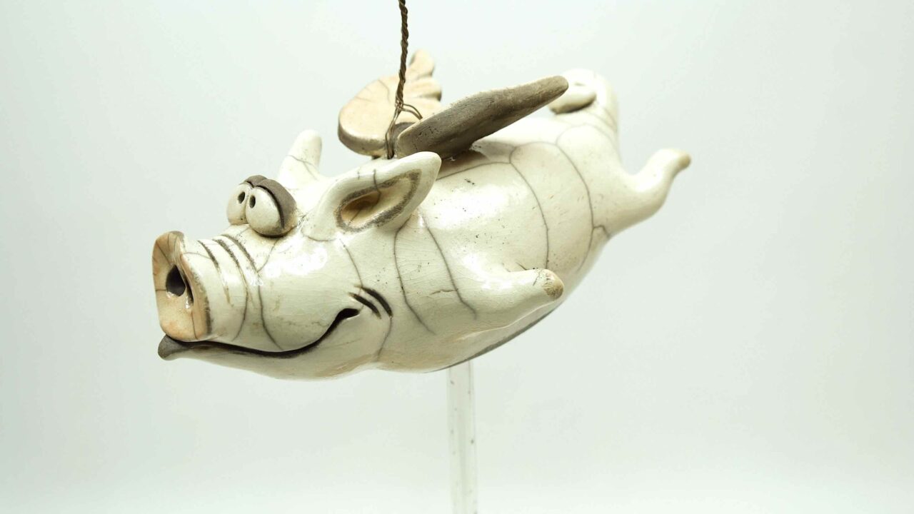 fliegendes Schwein – Bild 7