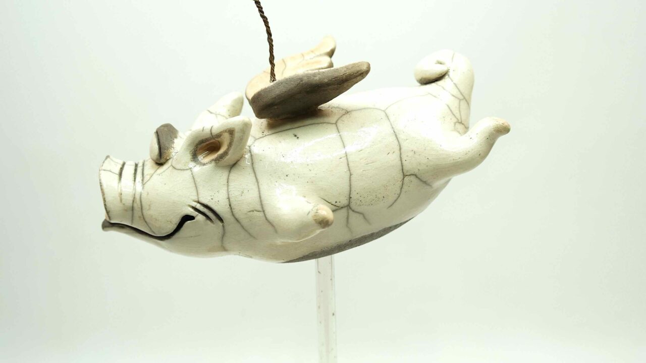 fliegendes Schwein – Bild 6