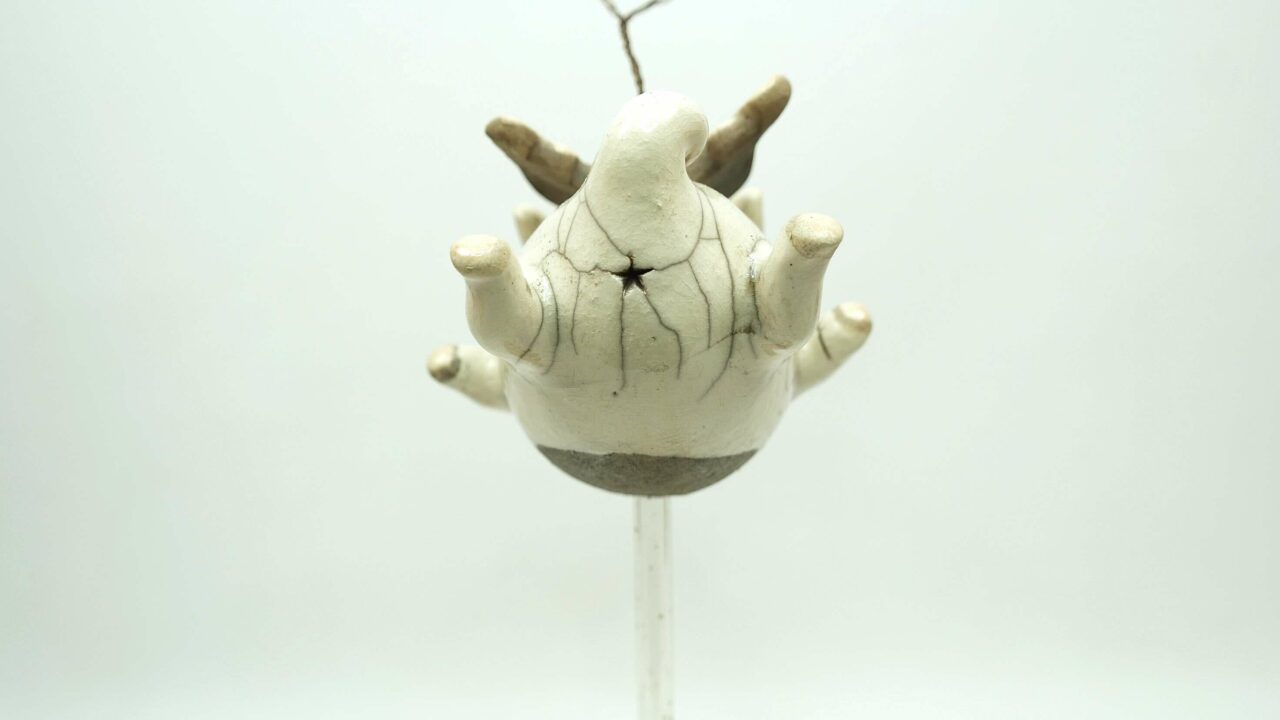 fliegendes Schwein – Bild 5