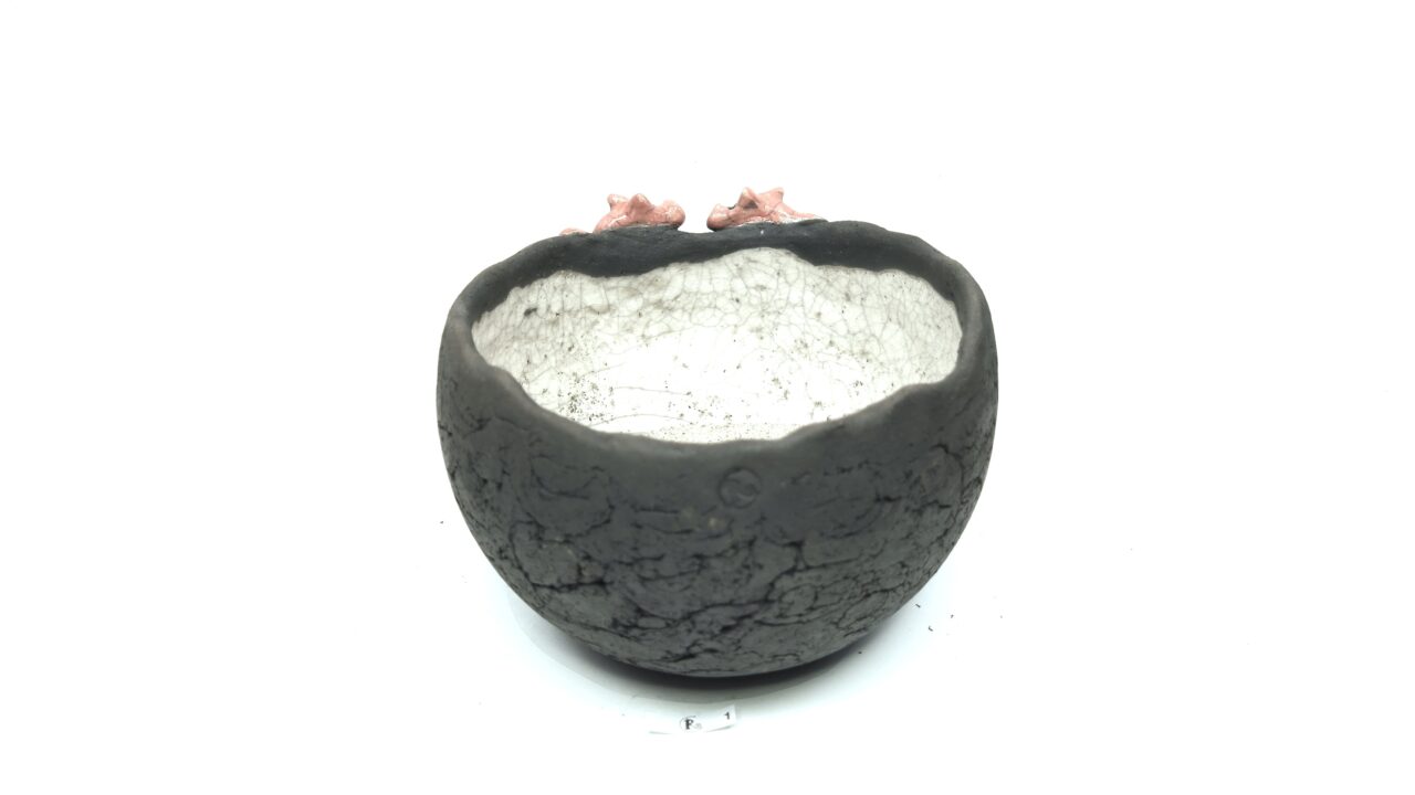 Swieenkumme 3 – Bild 4